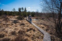 Georgenfeldské vrchoviště