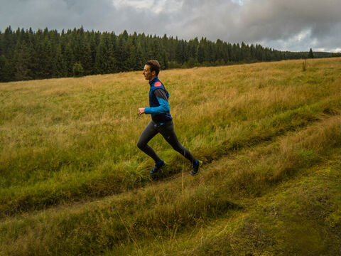 Grünwaldská vřesoviště