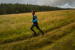 Grünwaldská vřesoviště