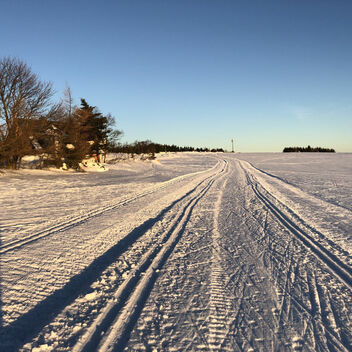 Směrem z Nového Města na Cínovec